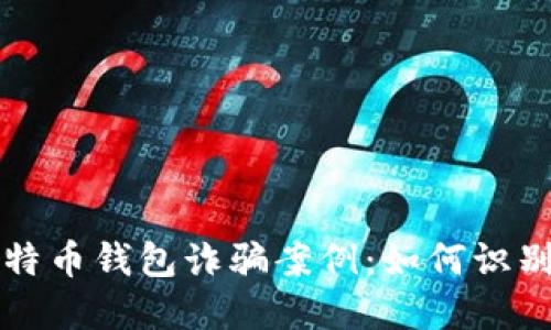 揭秘比特币钱包诈骗案例:如何识别与防范