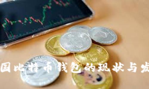中国比特币钱包的现状与发展