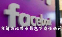 如何解决比特币钱包下载慢的问题