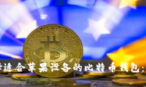 如何选择适合苹果设备的比特币钱包:全面指南