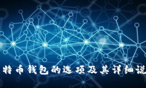 比特币钱包的选项及其详细说明
