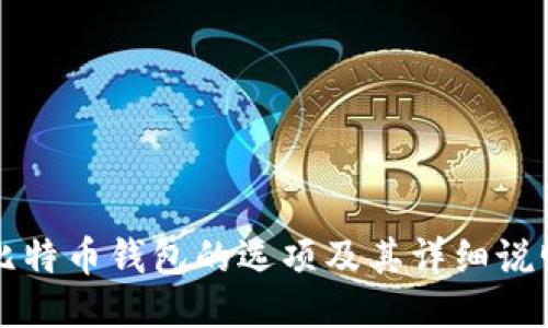 比特币钱包的选项及其详细说明