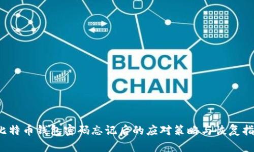 比特币钱包密码忘记后的应对策略与恢复指南