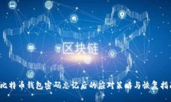  比特币钱包密码忘记后的应对策略与恢复指南