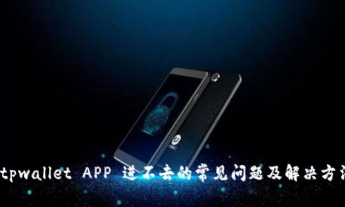tpwallet APP 进不去的常见问题及解决方法