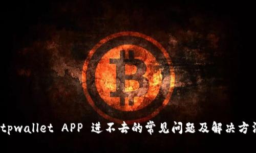 tpwallet APP 进不去的常见问题及解决方法