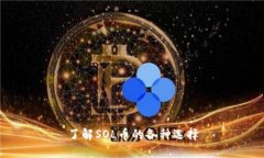 了解SOL币的各种选择